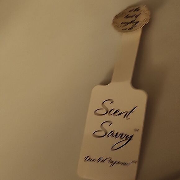 Pier 1 Scentique Fragrance Diffusing Candle Set in Green - Picture 7 of 8